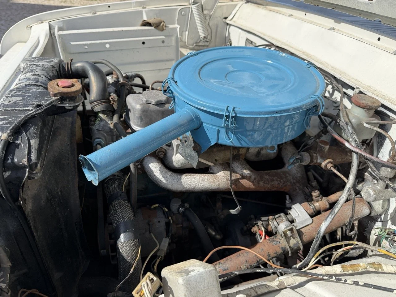 IMG_8618 2 – grande.jpeg