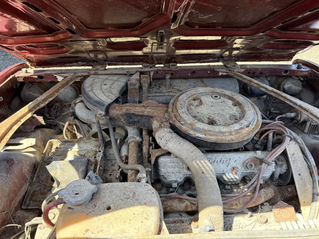 IMG_0918 – grande.jpeg