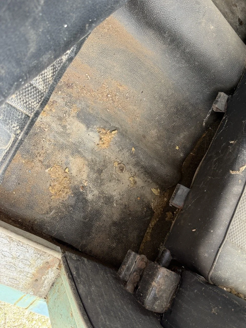 IMG_1392 – grande.jpeg