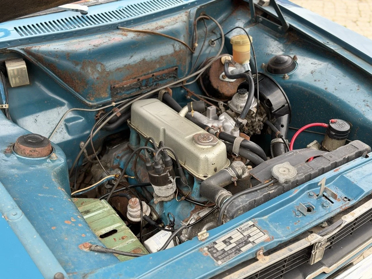 IMG_6296 2 – grande.jpeg