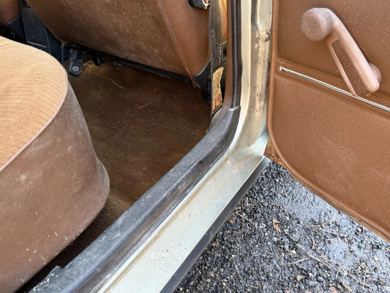 IMG_1211 – grande.jpeg