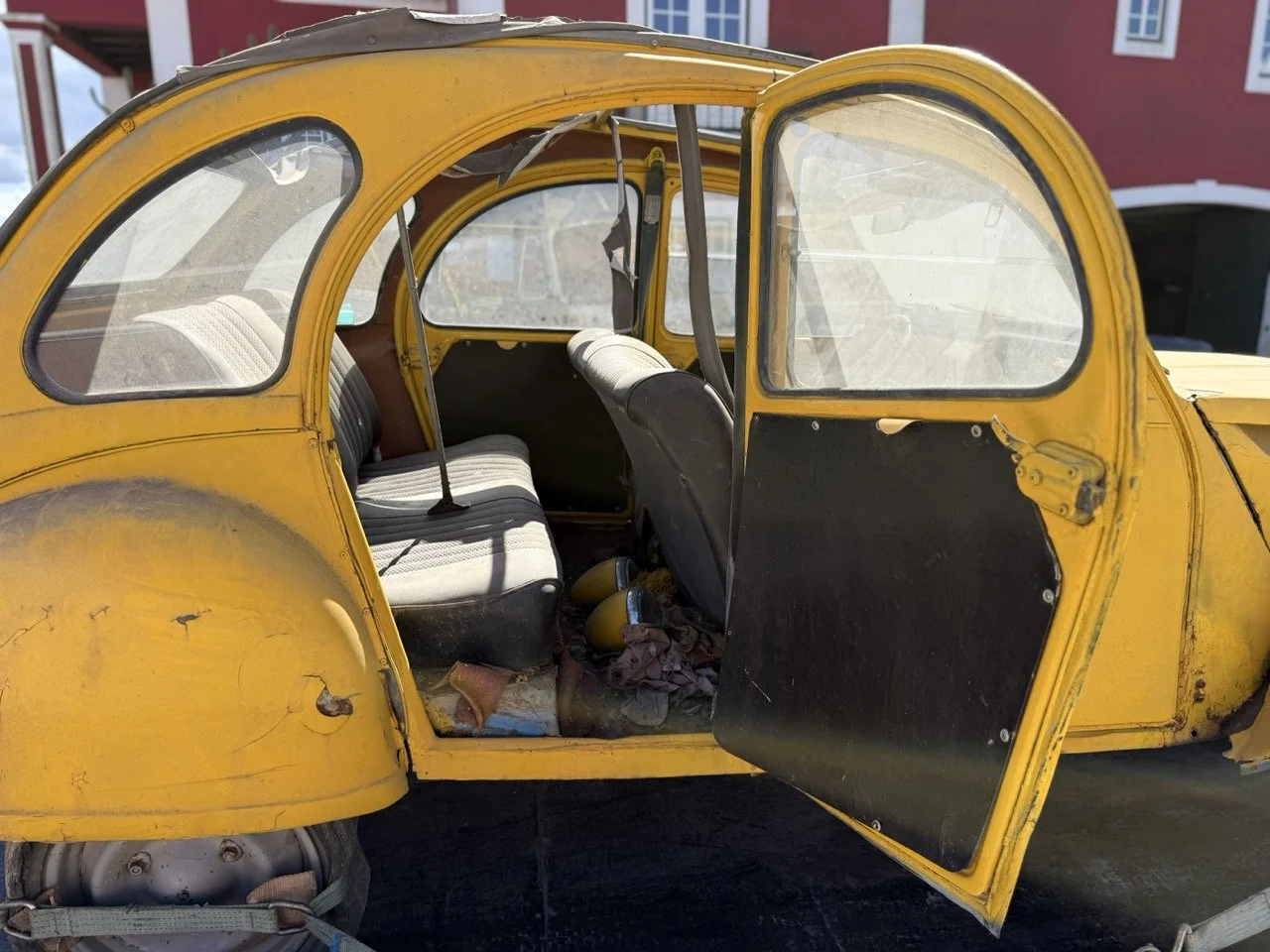 IMG_9112 – grande.jpeg