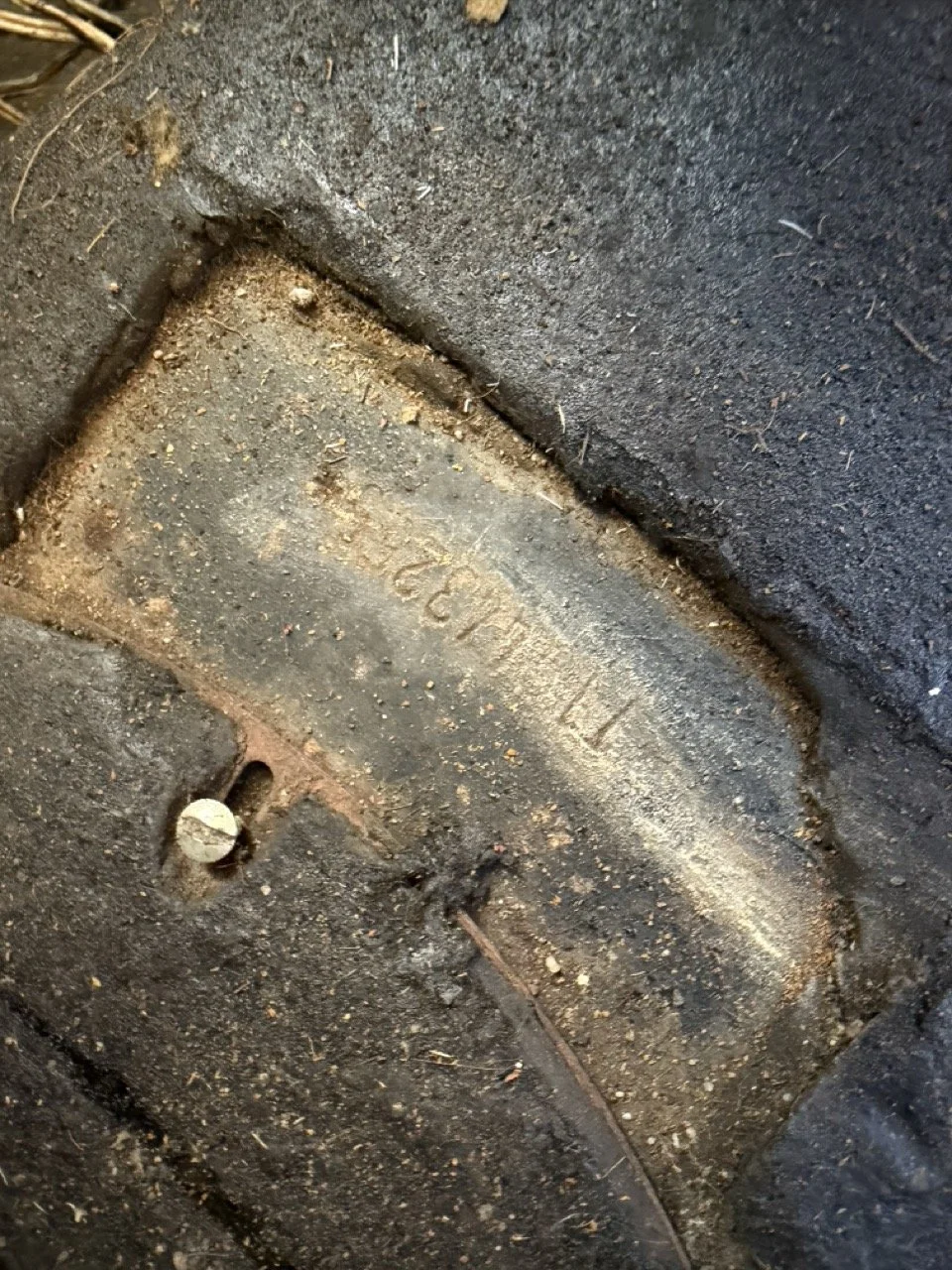 IMG_7542 – grande.jpeg