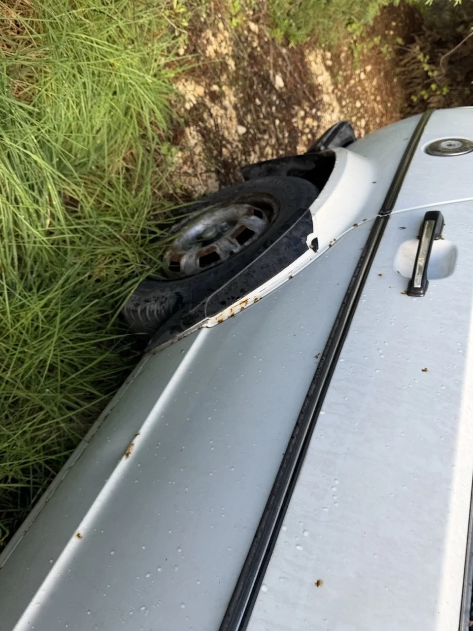 IMG_5188 – grande.jpeg