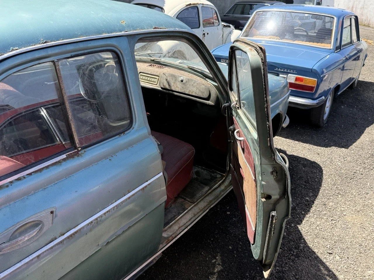 IMG_0864 – grande.jpeg