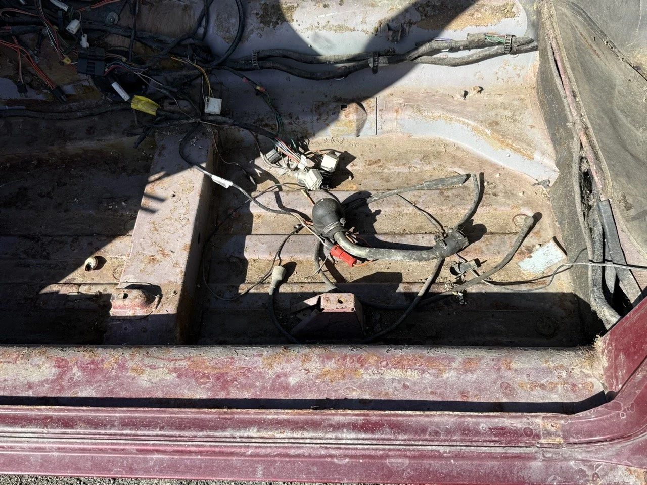 IMG_2991 – grande.jpeg