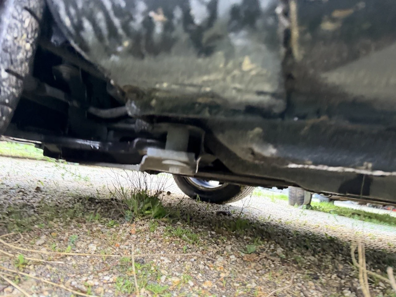 IMG_5341 – grande.jpeg