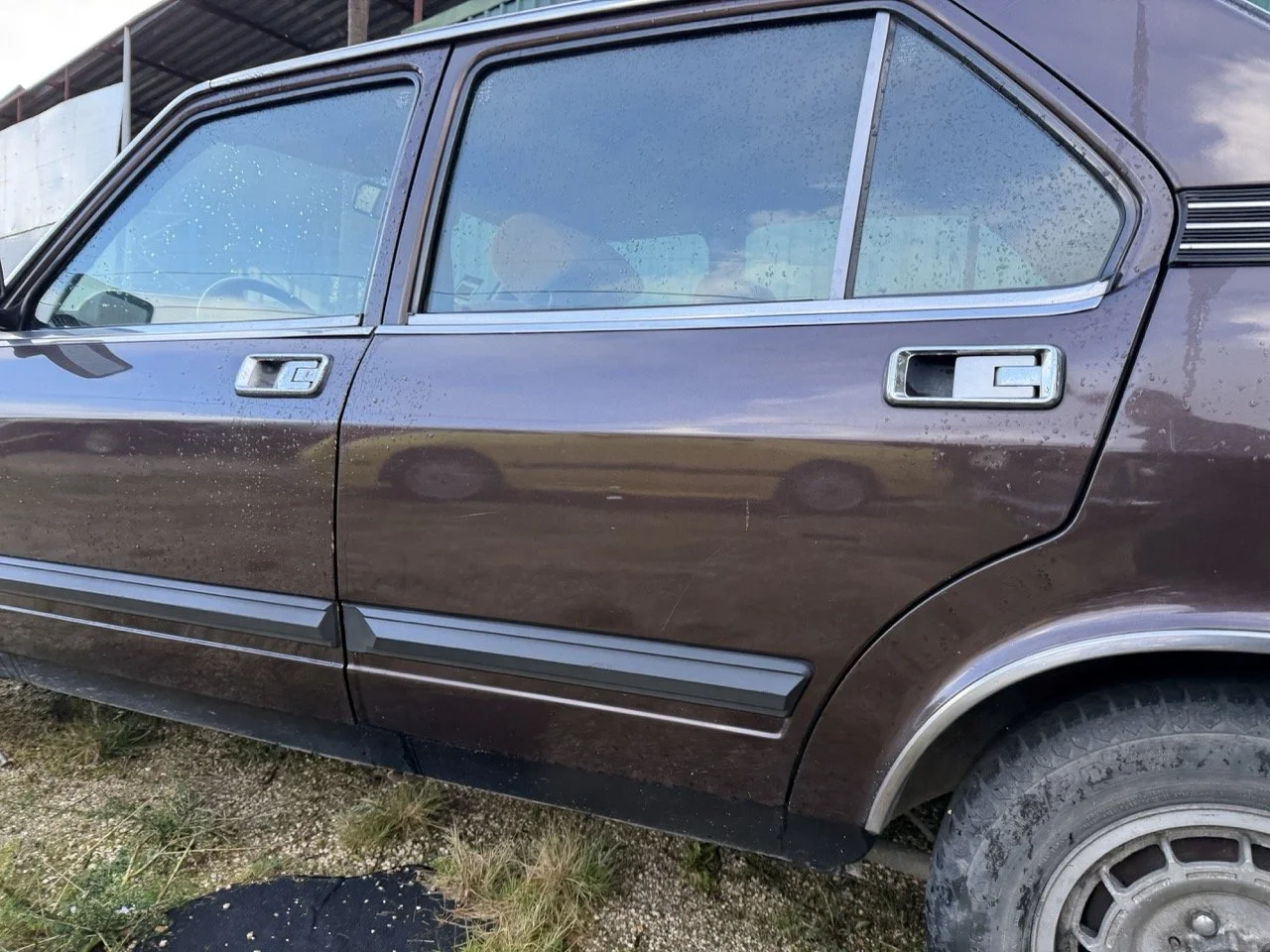 IMG_5251 – grande.jpeg