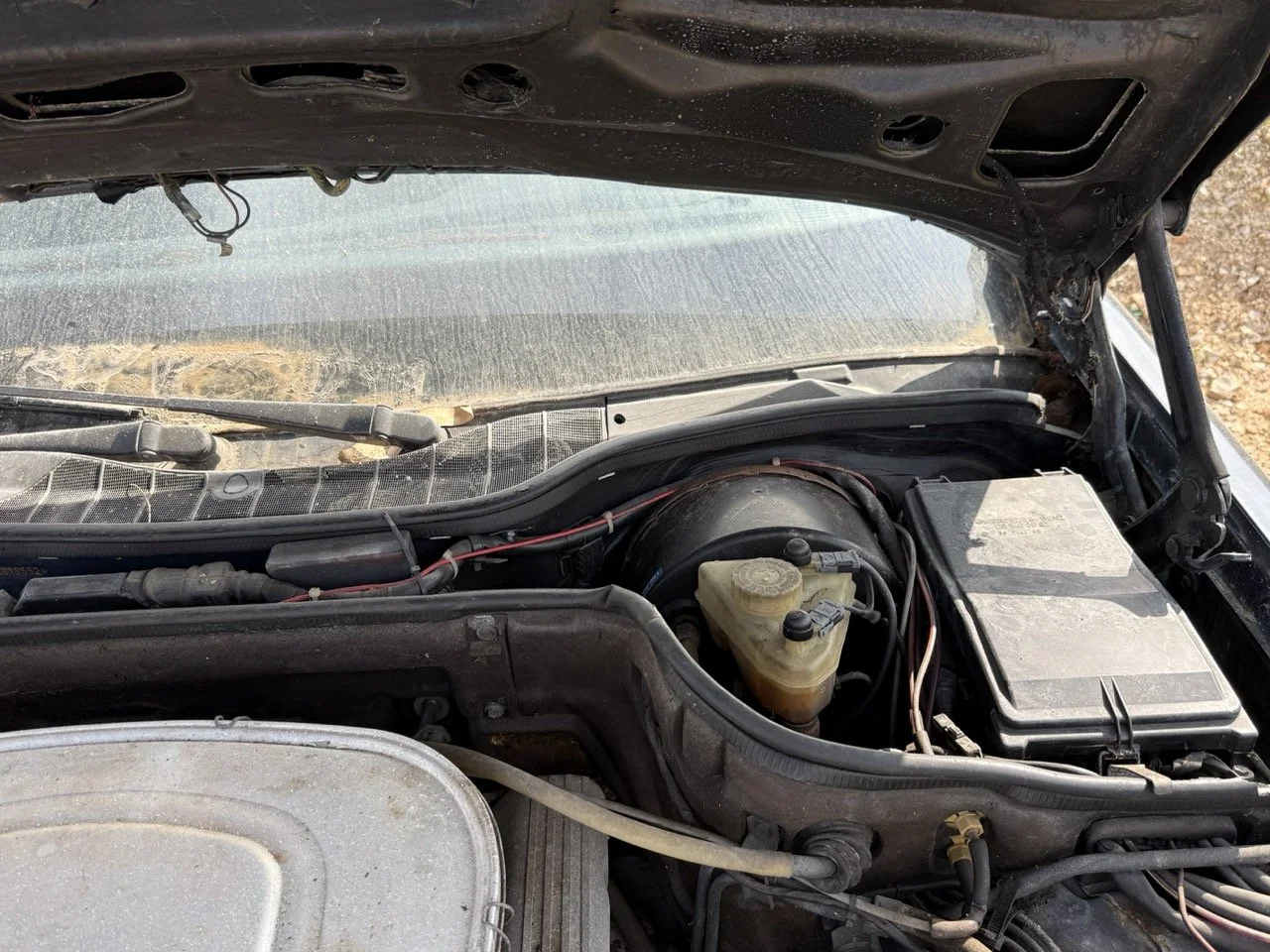 IMG_3416 – grande.jpeg