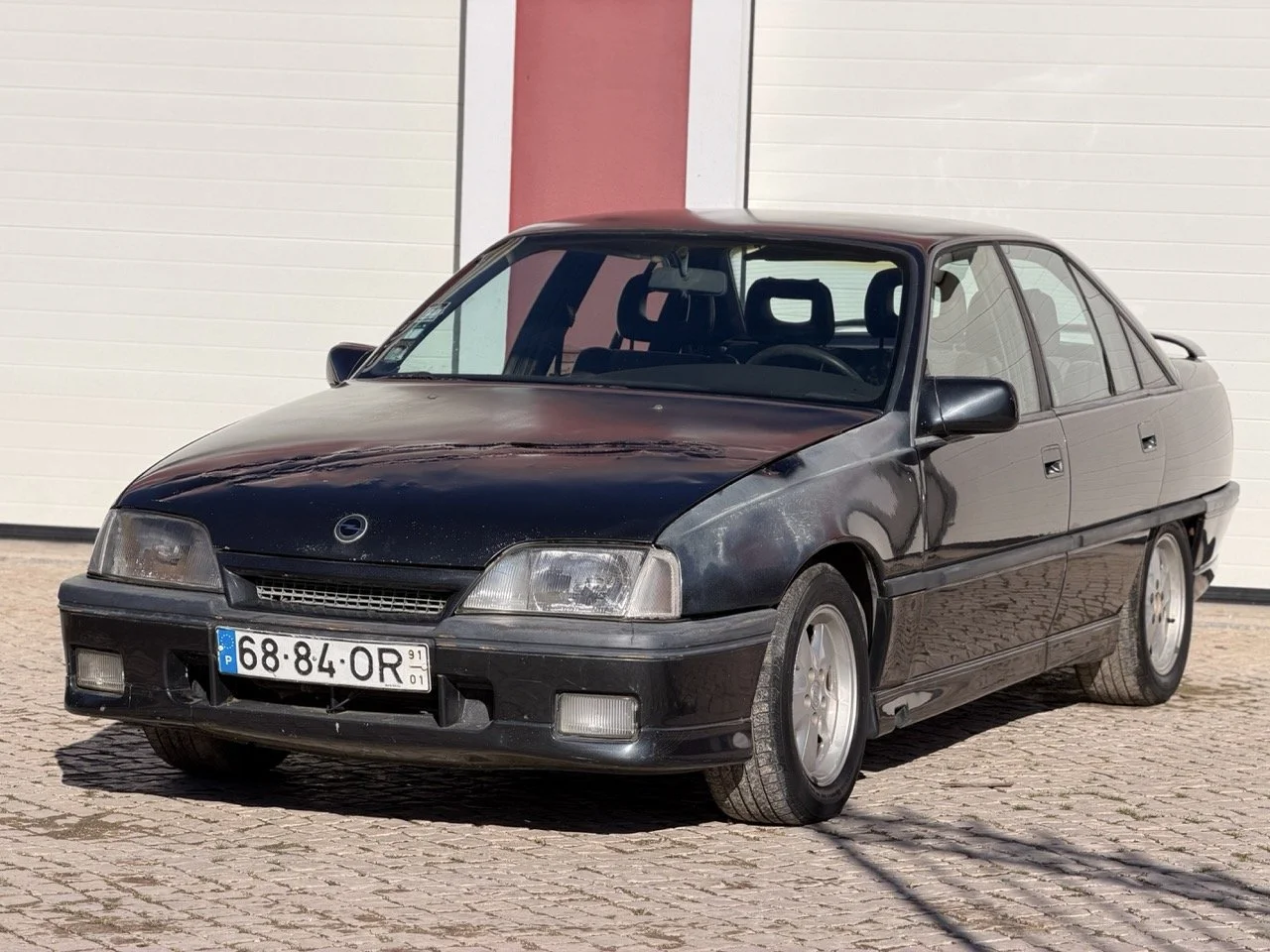 IMG_2694 – grande.jpeg