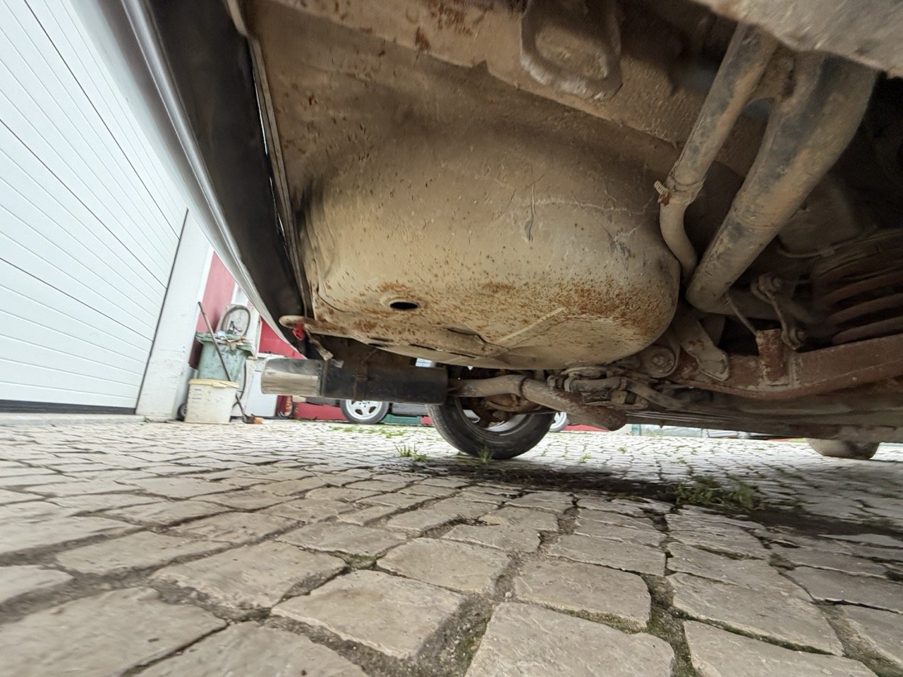 IMG_1328 – grande.jpeg