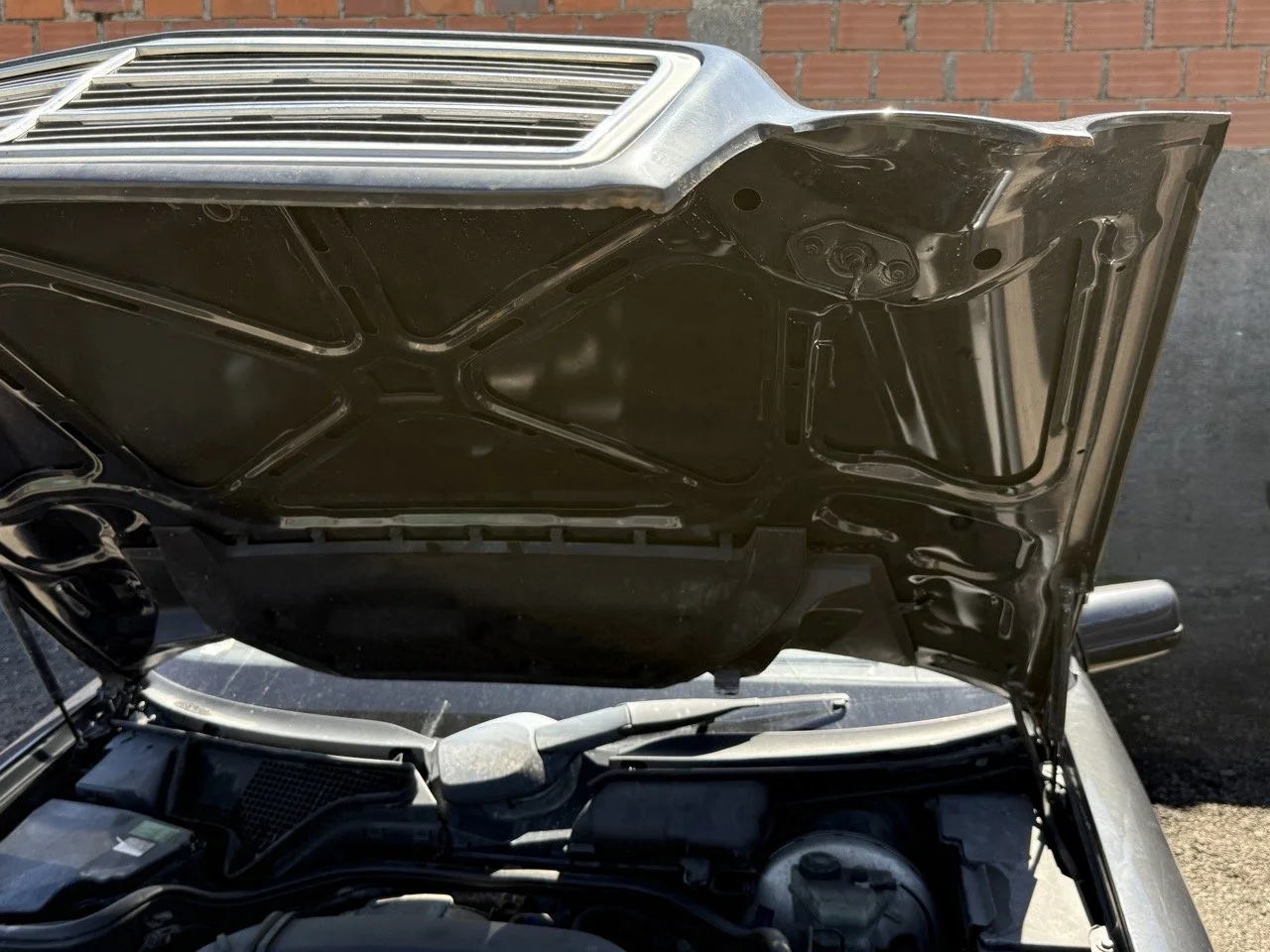 IMG_1780 – grande.jpeg