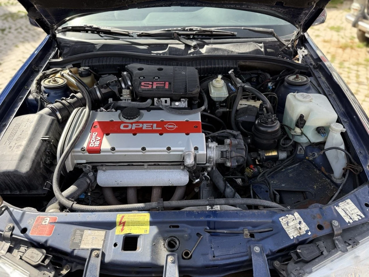 IMG_2412 – grande.jpeg