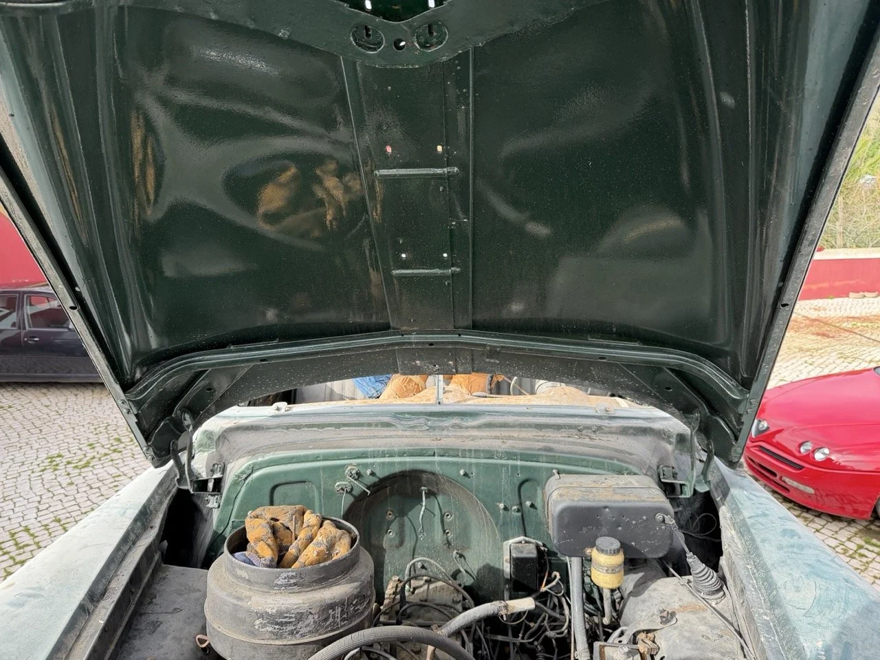 IMG_1797 – grande.jpeg