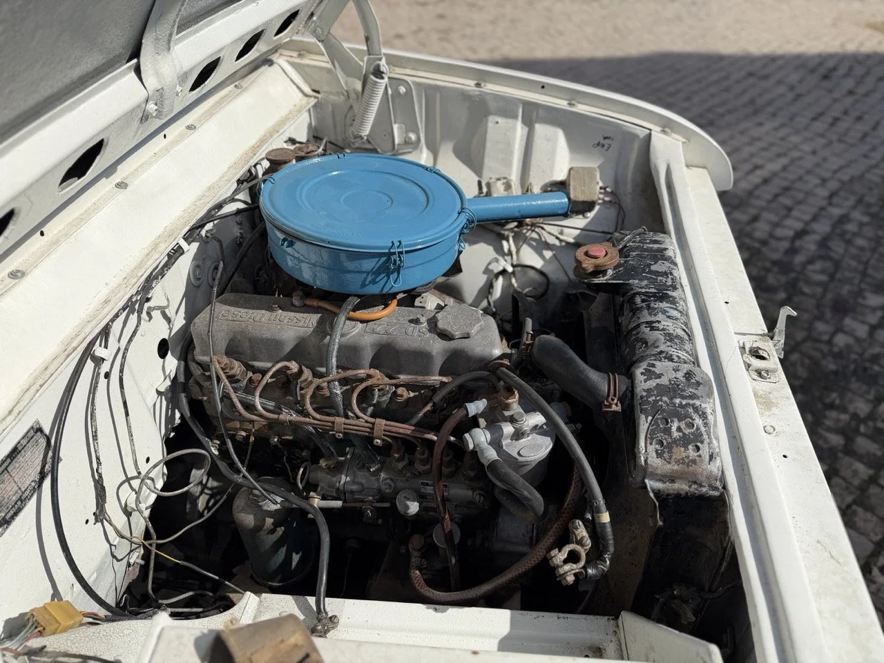 IMG_8607 2 – grande.jpeg