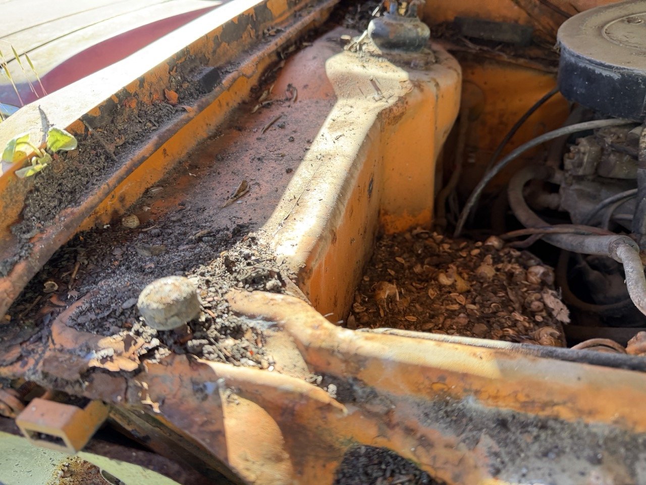 IMG_7719 – grande.jpeg