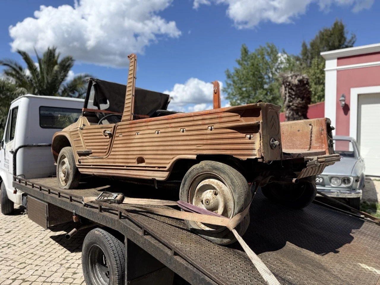 IMG_9034 – grande.jpeg