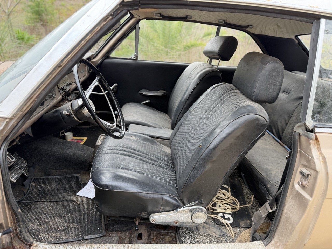 IMG_4912 – grande.jpeg