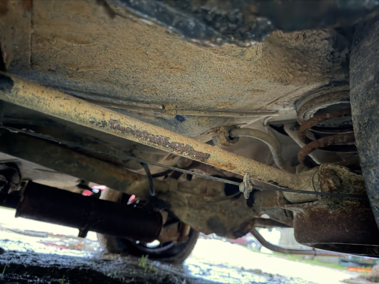 IMG_0152 – grande.jpeg