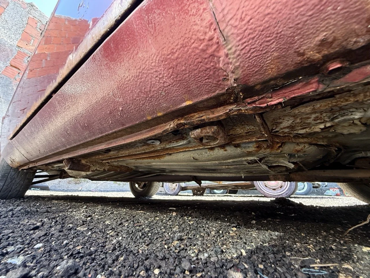 IMG_0974 – grande.jpeg