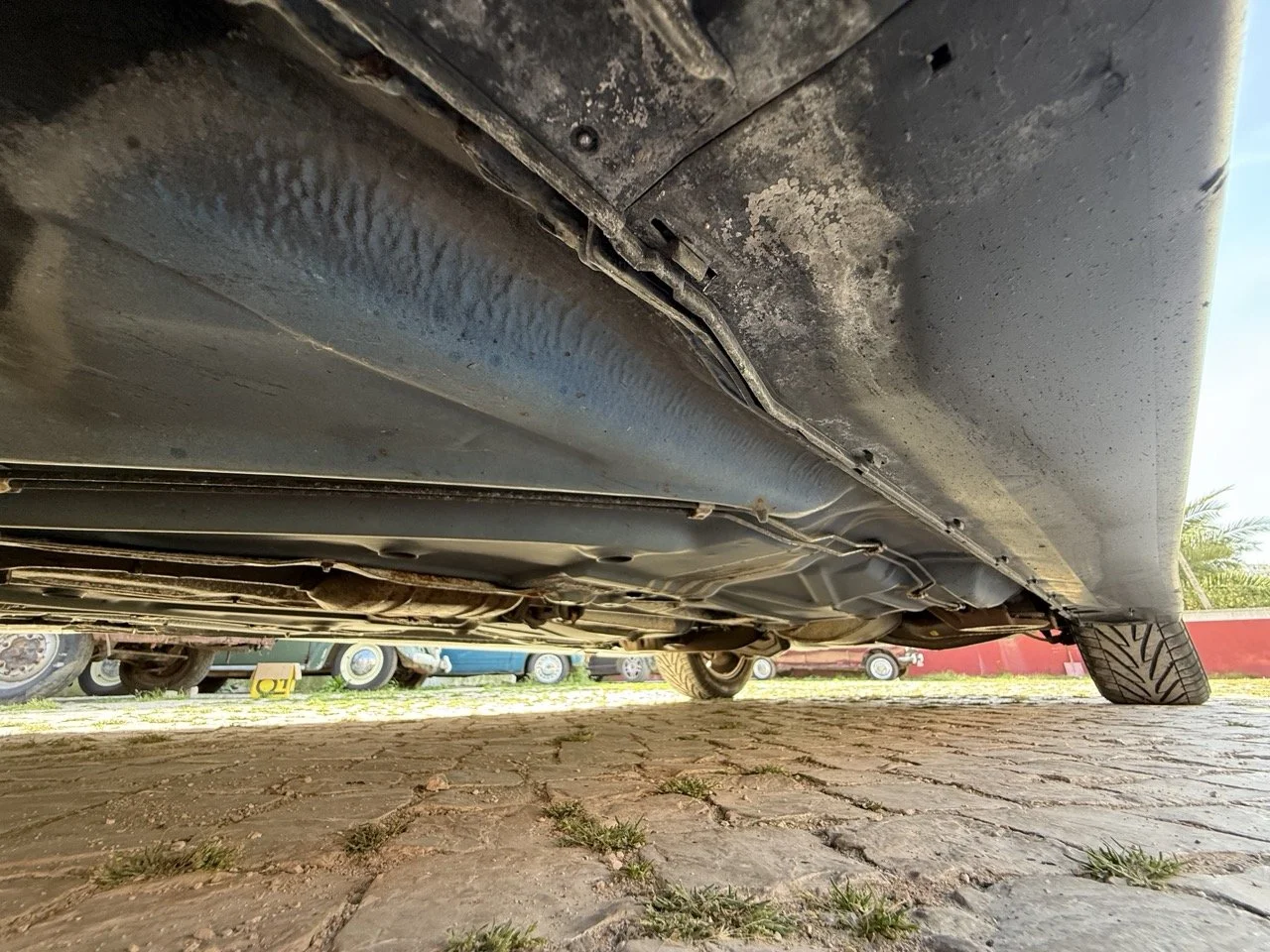 IMG_2499 – grande.jpeg