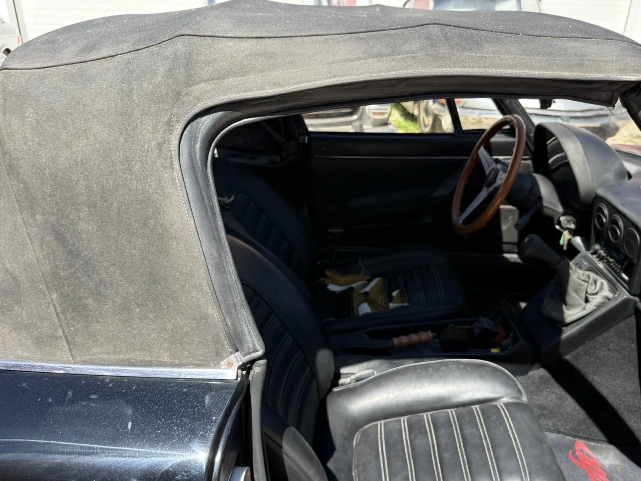 IMG_2173 – grande.jpeg