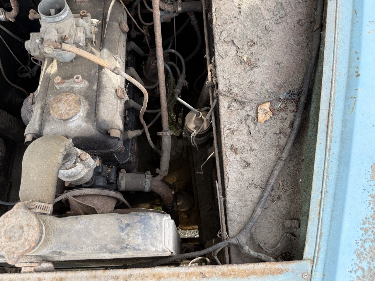 IMG_1439 – grande.jpeg