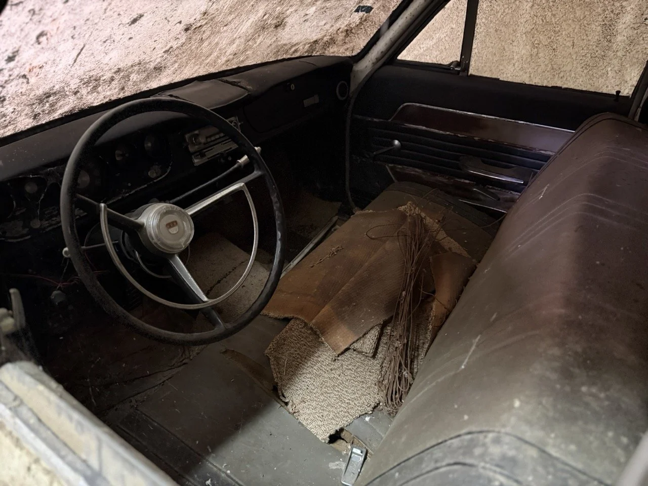 IMG_2921 – grande.jpeg