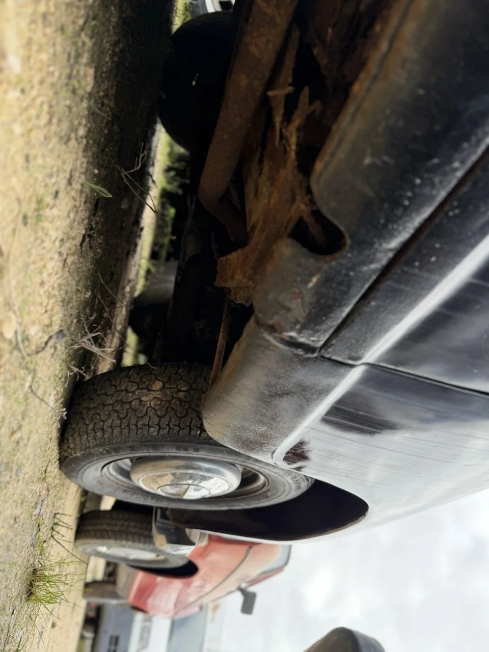 IMG_5005 – grande.jpeg