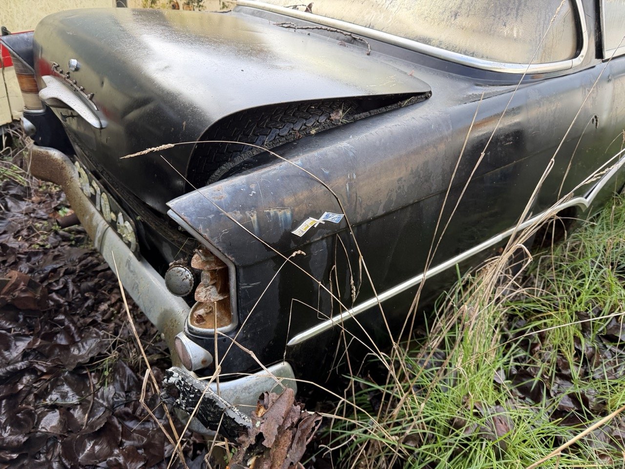 IMG_5045 – grande.jpeg