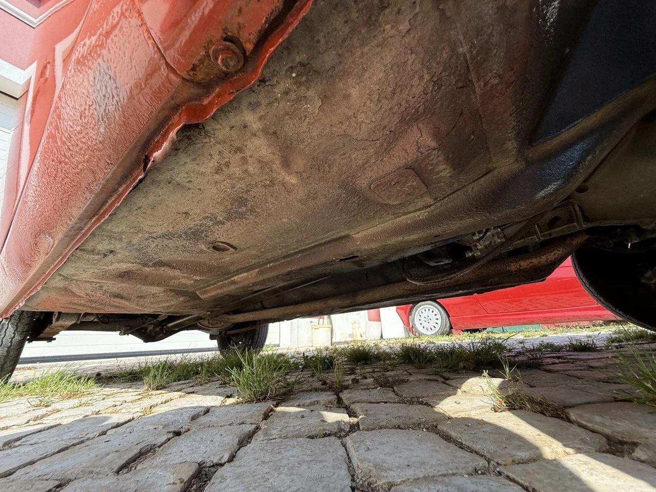 IMG_3671 – grande.jpeg