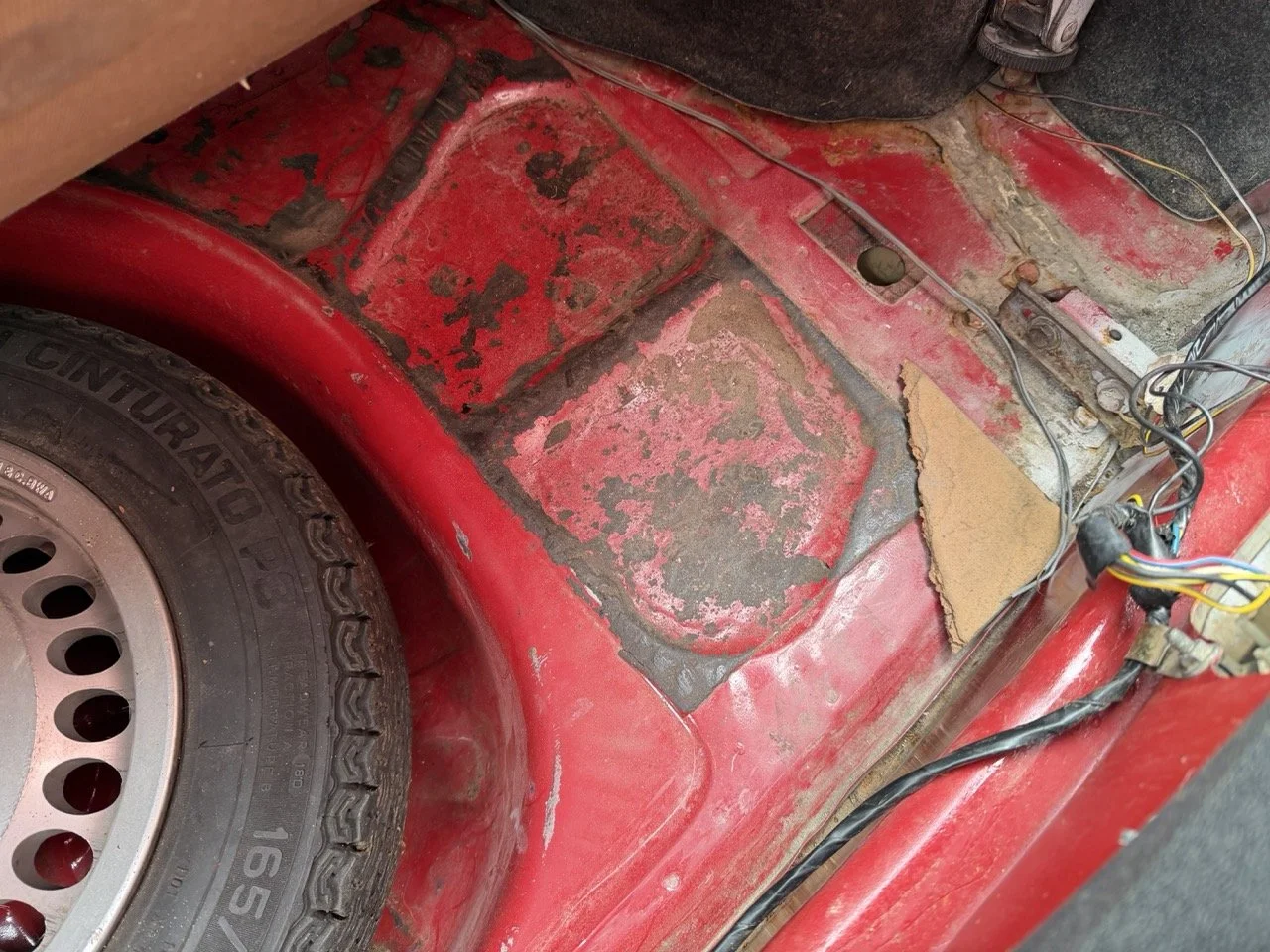 IMG_3496 – grande.jpeg