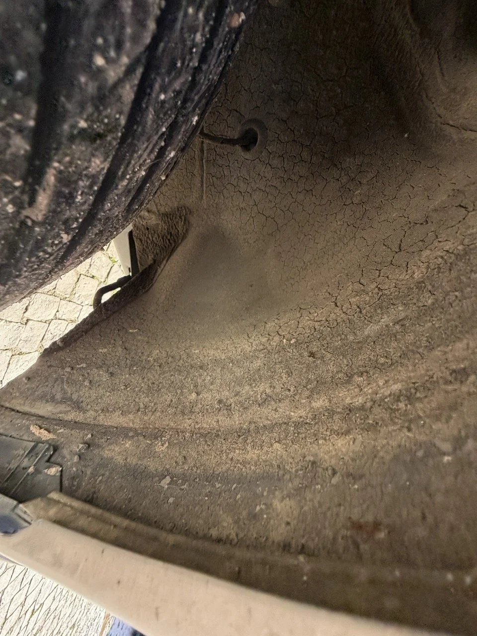 IMG_2036 – grande.jpeg