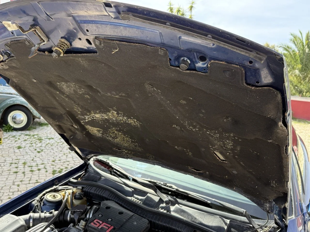 IMG_2430 – grande.jpeg