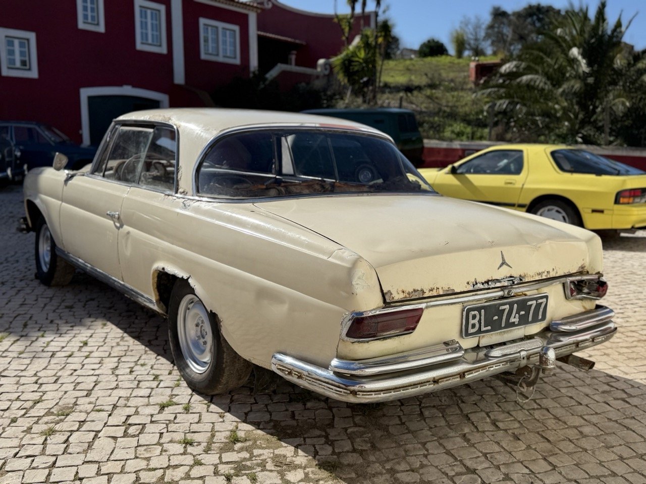 IMG_7002 – grande.jpeg