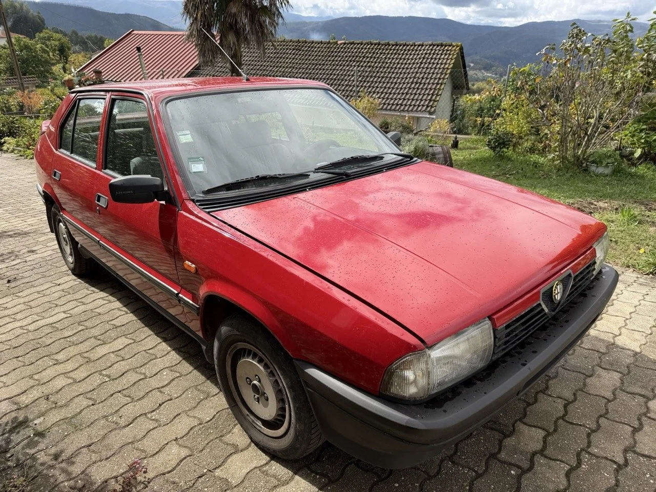 IMG_3295 – grande.jpeg