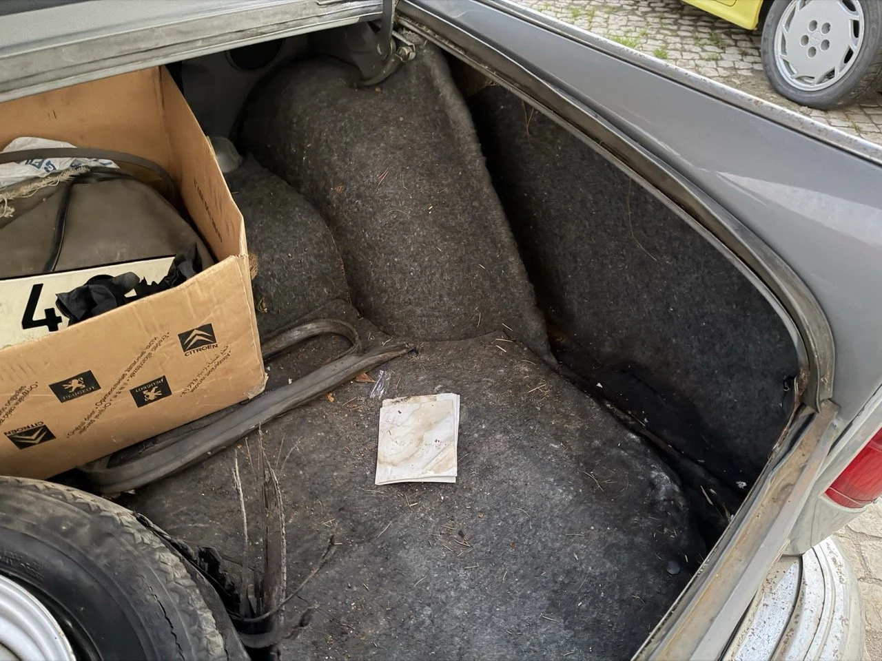 IMG_7524 – grande.jpeg