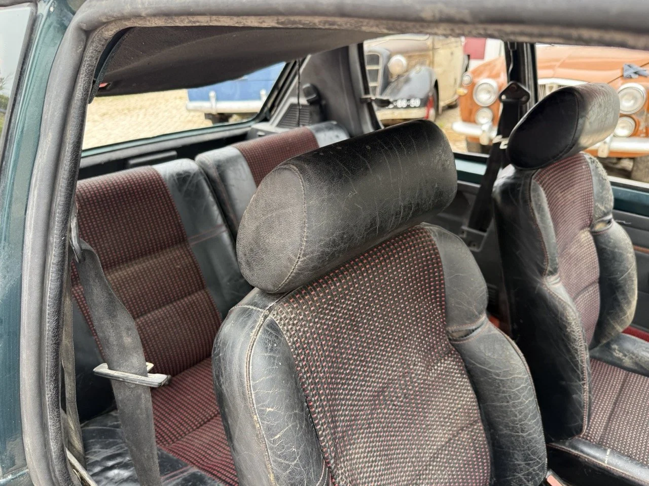 IMG_8471 – grande.jpeg