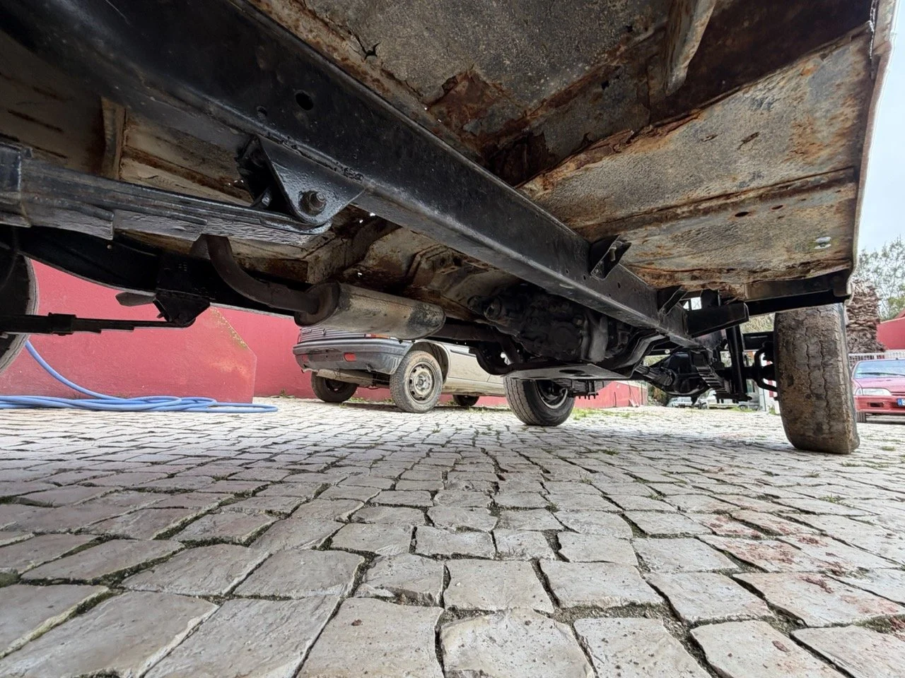 IMG_3929 – grande.jpeg