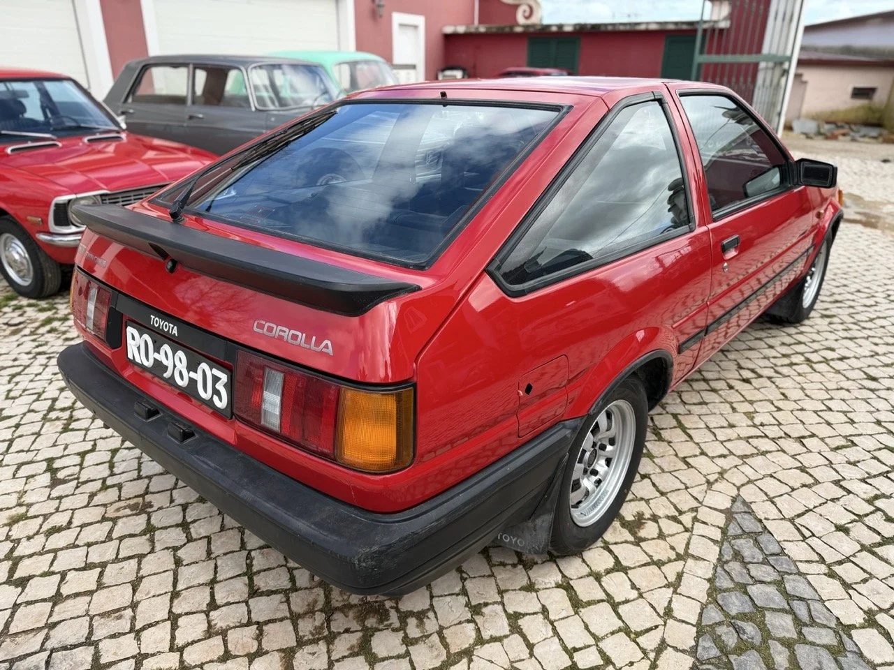 IMG_2420 – grande.jpeg