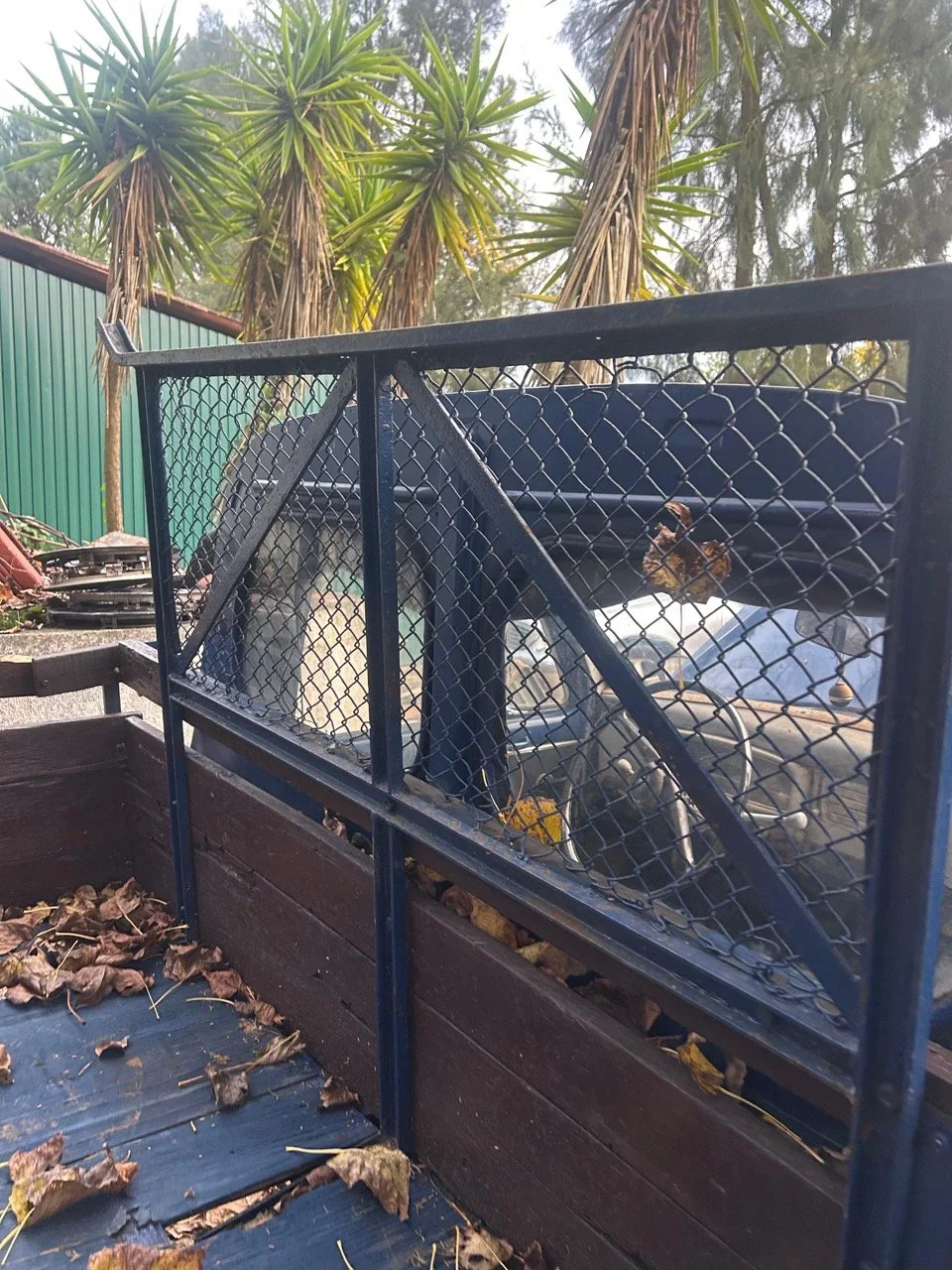 17ca9fe4-ef2b-4522-9698-fd247d145949 – grande.jpeg