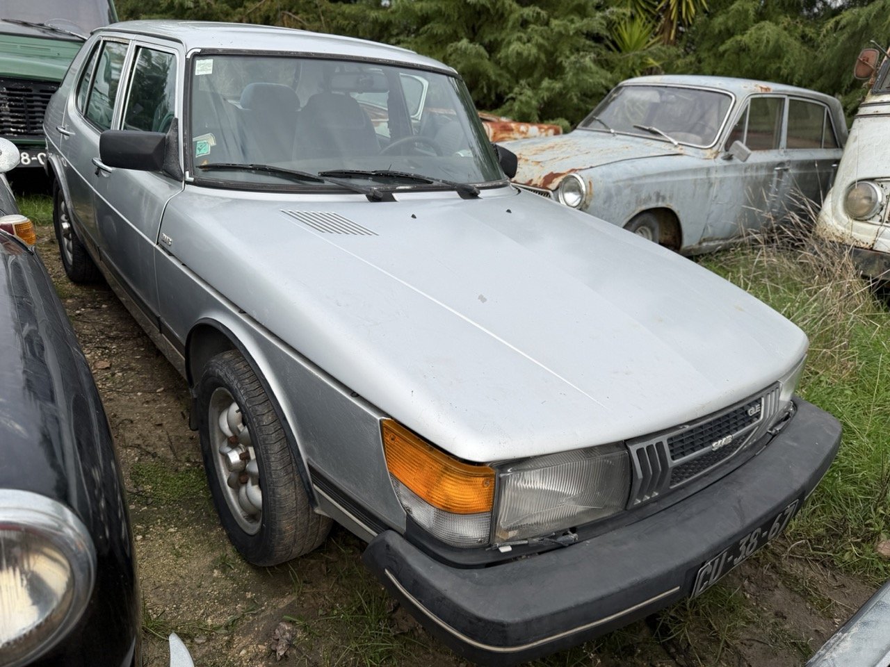 IMG_4982 – grande.jpeg