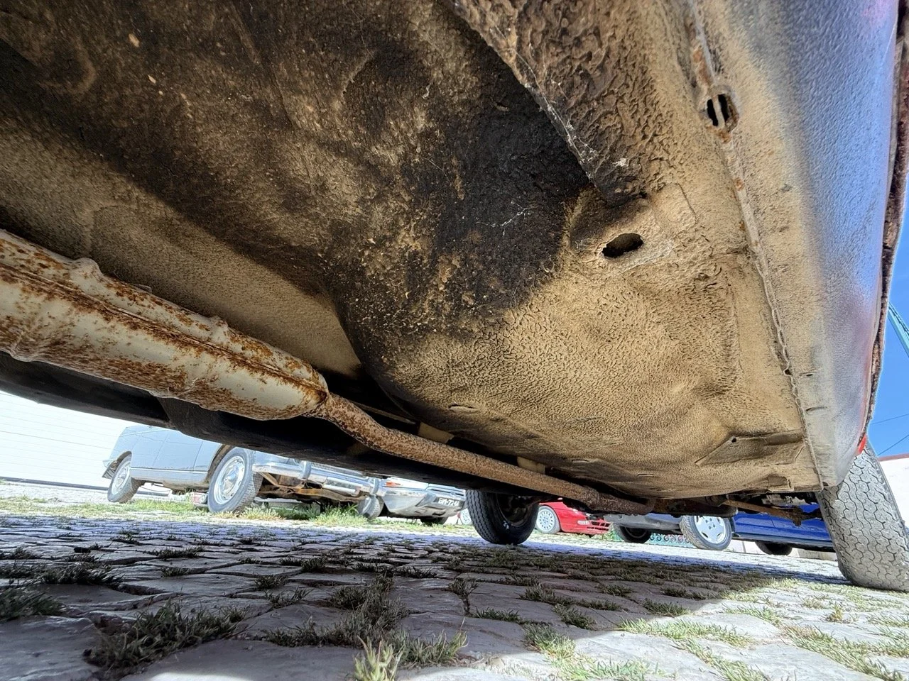 IMG_2367 – grande.jpeg