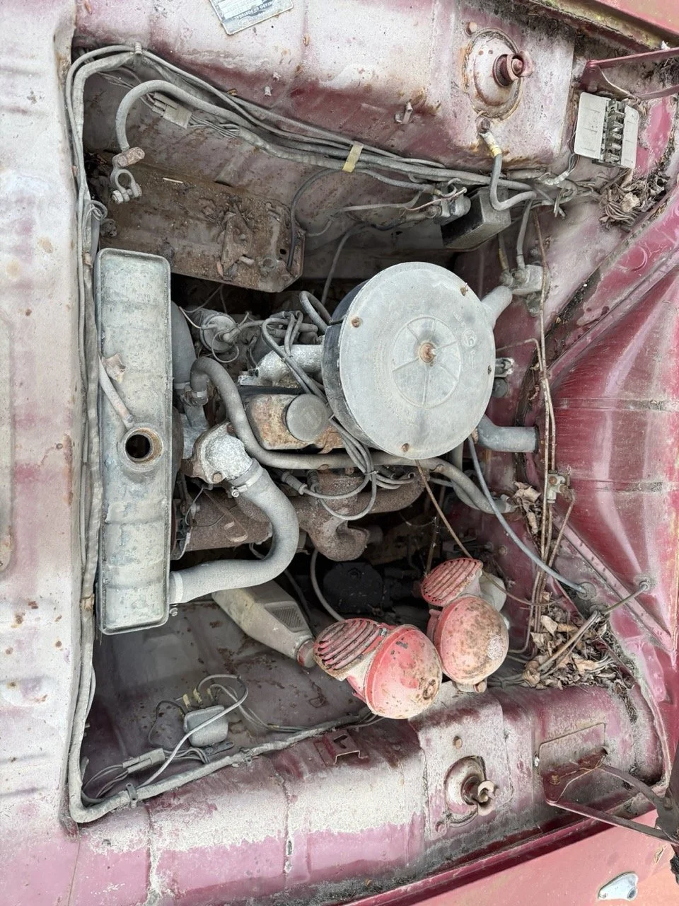 IMG_8954 – grande.jpeg