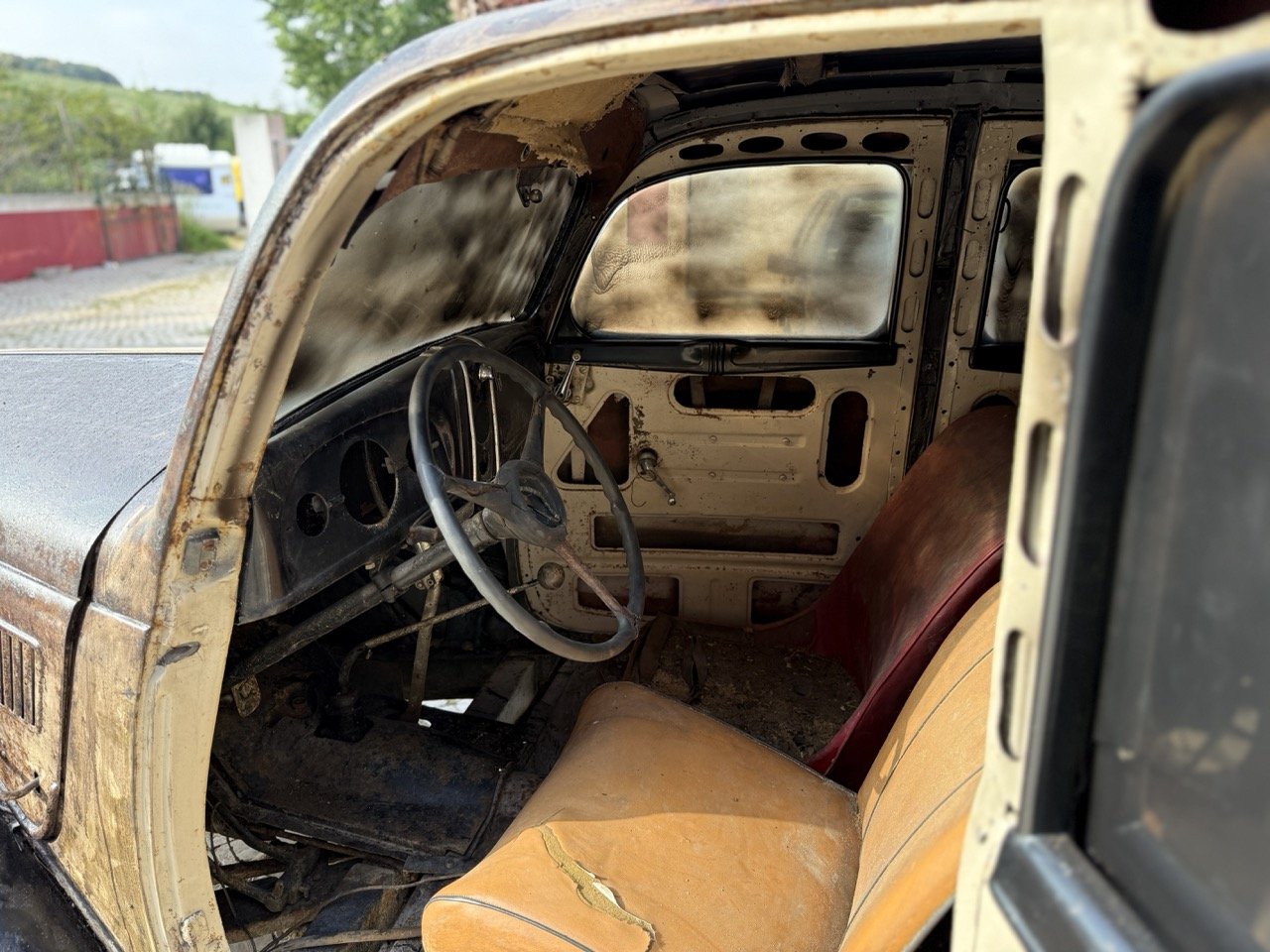 IMG_3684 – grande.jpeg