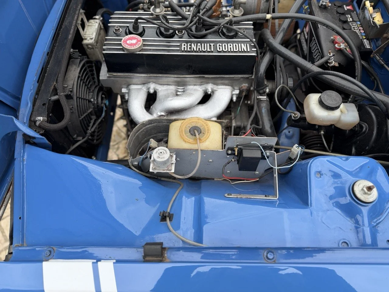 IMG_6042 – grande.jpeg