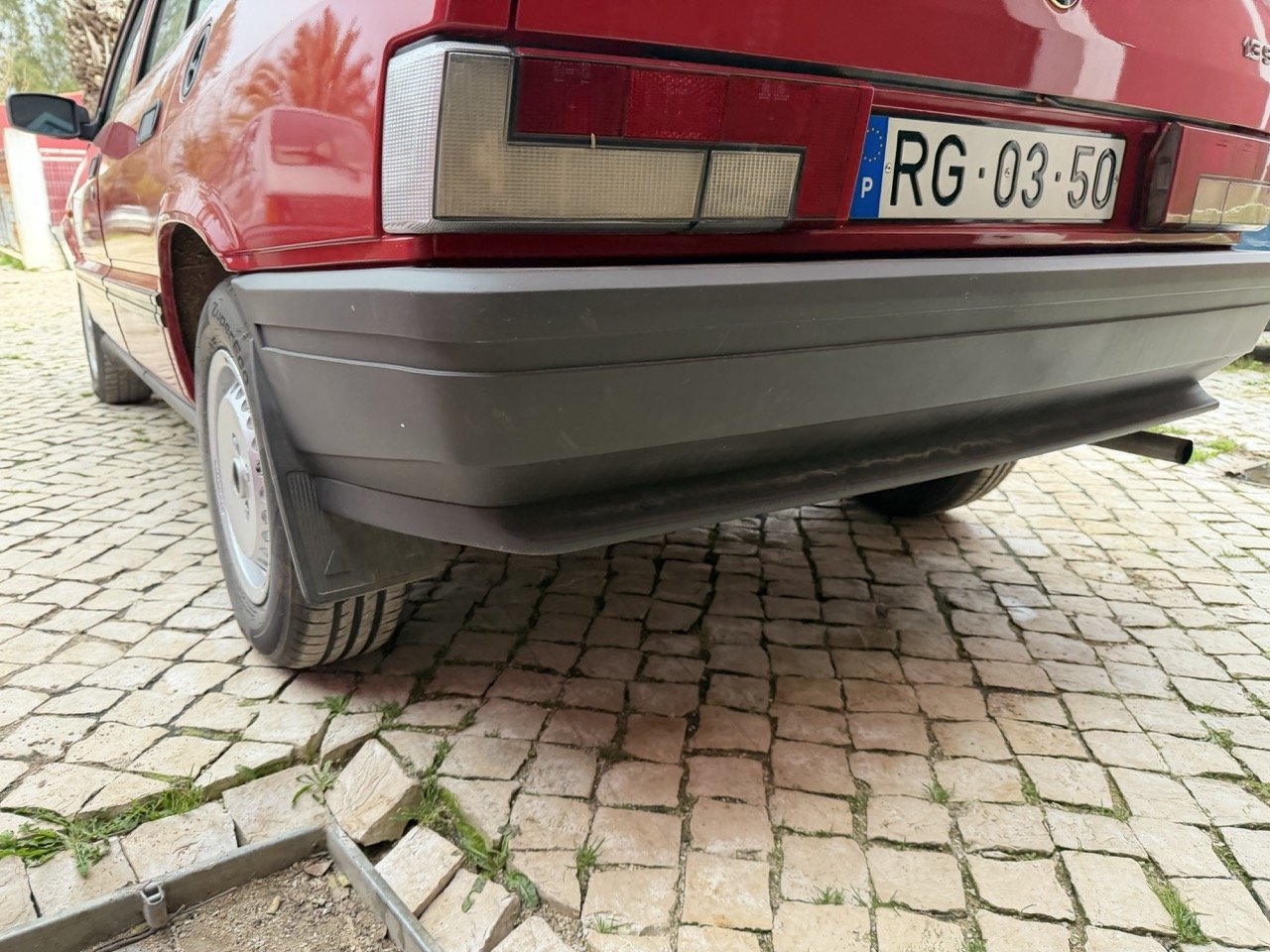 IMG_3518 – grande.jpeg