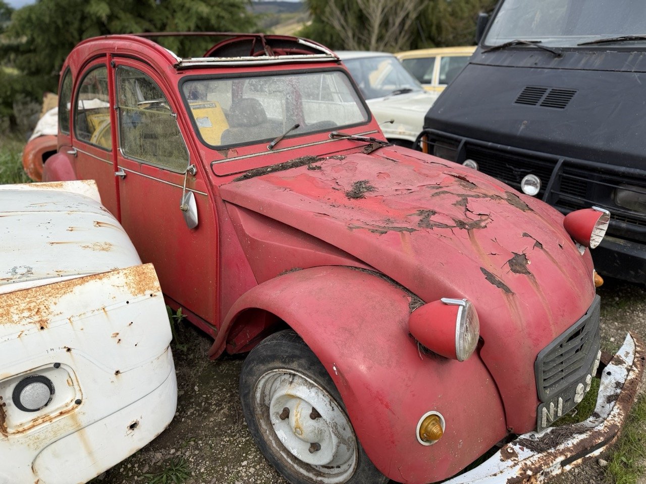 IMG_3849 – grande.jpeg