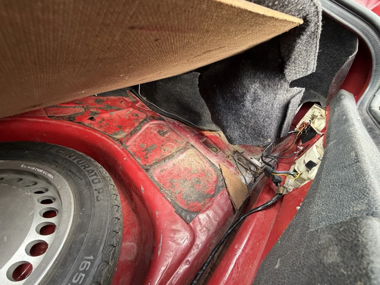 IMG_3246 – grande.jpeg