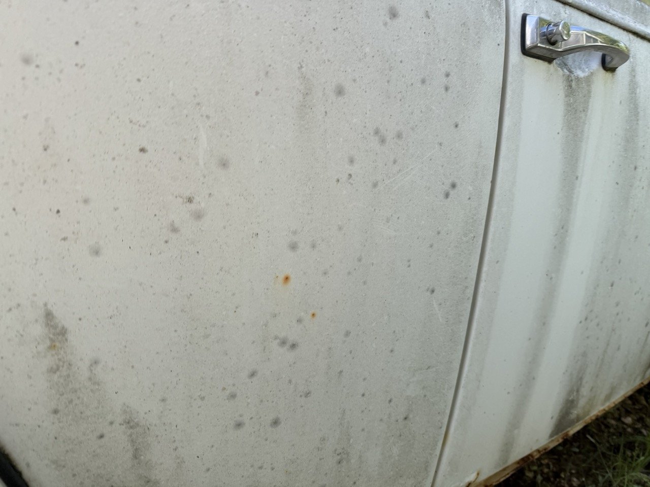 IMG_8580 – grande.jpeg